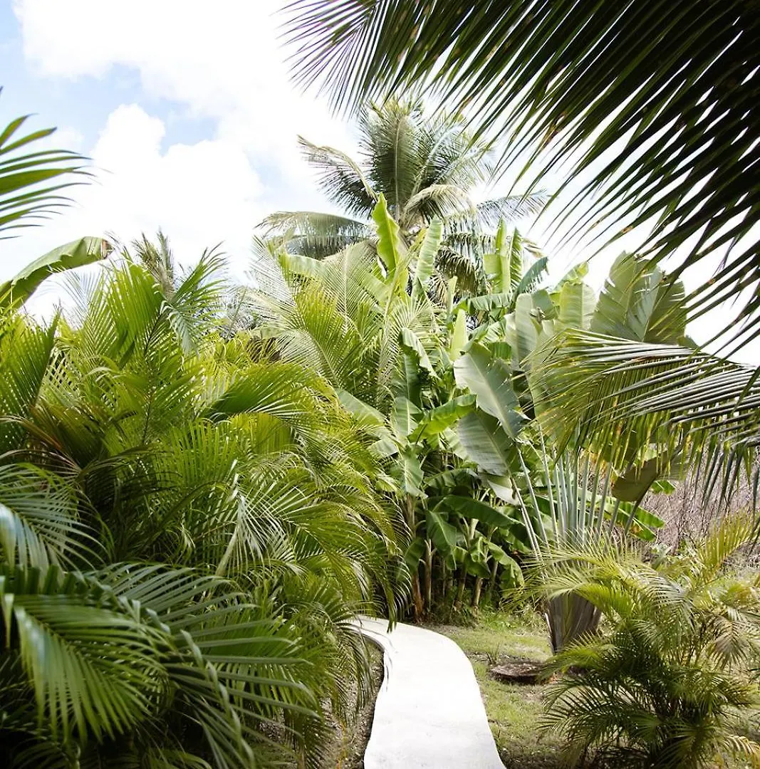 Le Jardin De La Tortue Verte Sainte-Anne  Guadalupe