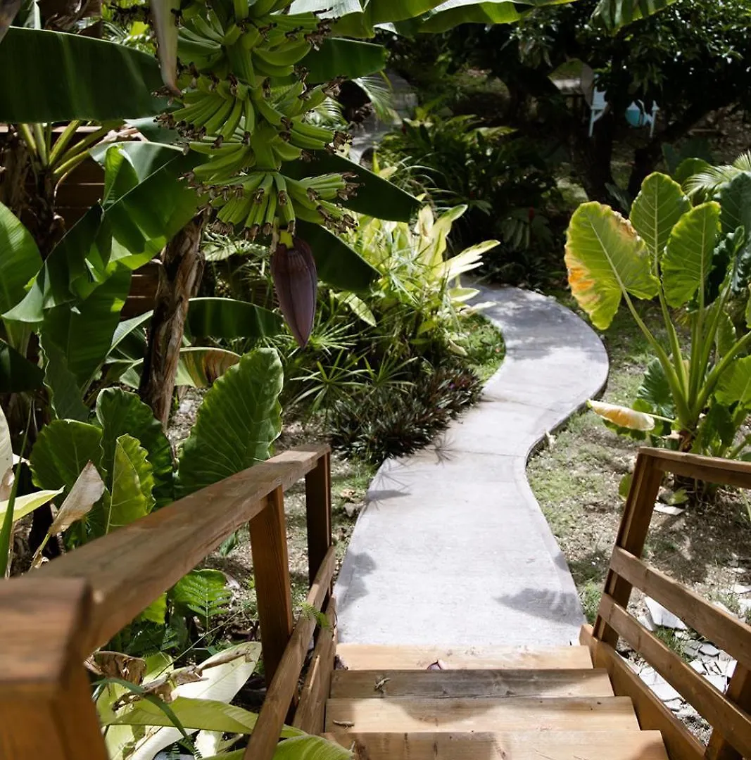 Le Jardin De La Tortue Verte Sainte-Anne  0*, Sainte-Anne (Grande-Terre) Guadalupe
